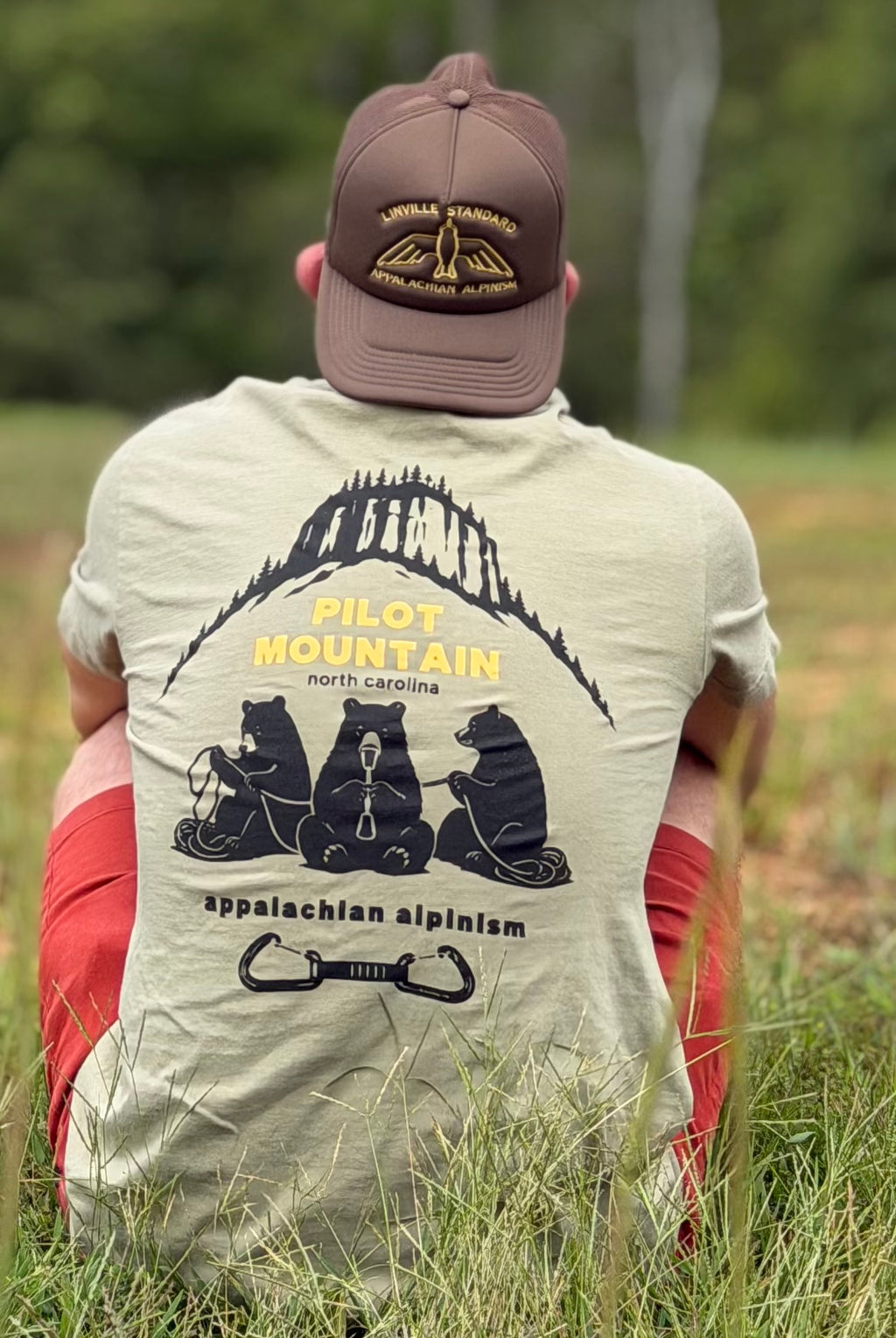 Pilot Mountain and the three bears Tee