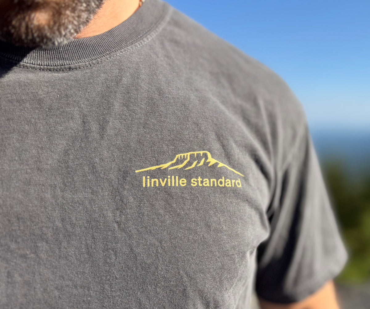 Appalachian Alpinism Peregrine Tee—peppercorn