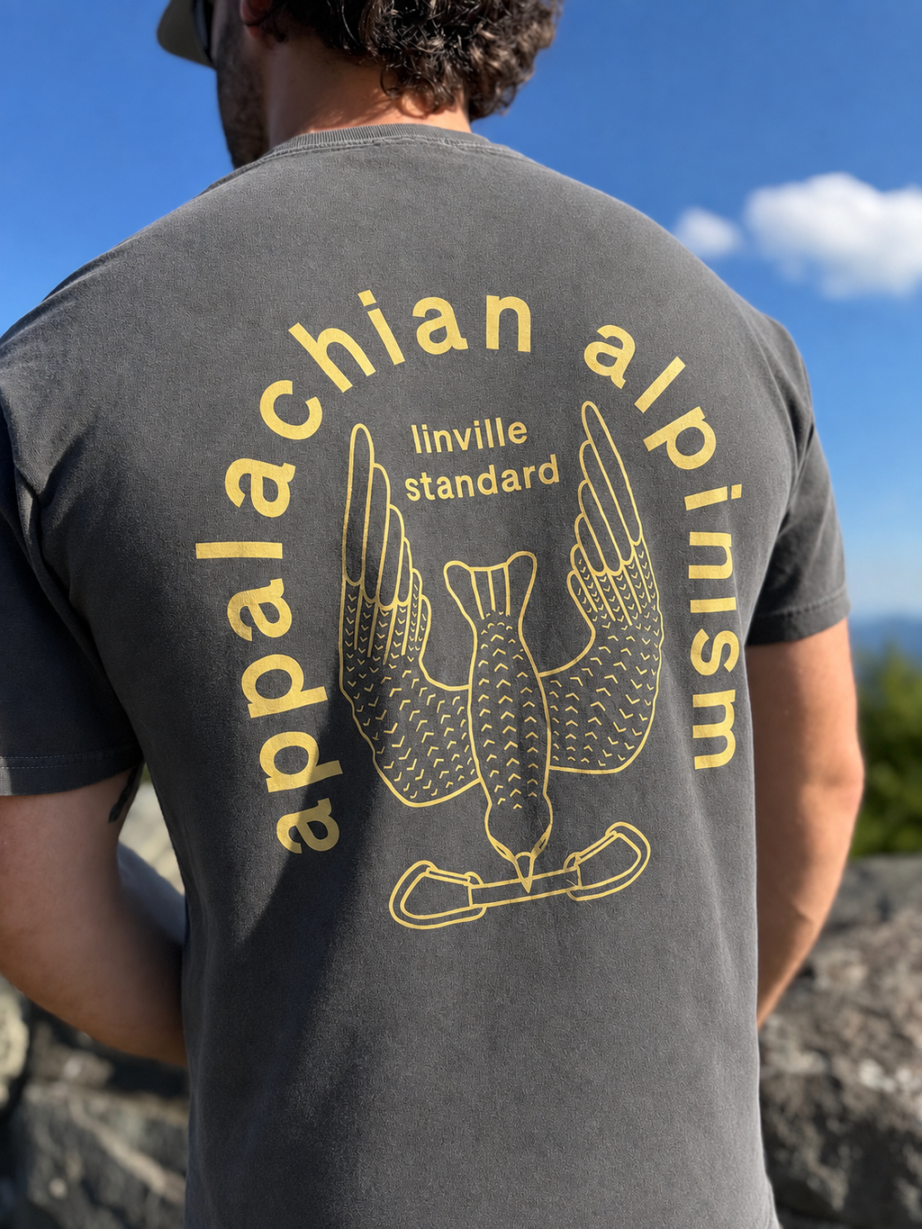Appalachian Alpinism Peregrine Tee—peppercorn
